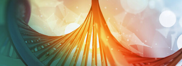 DNA twist design